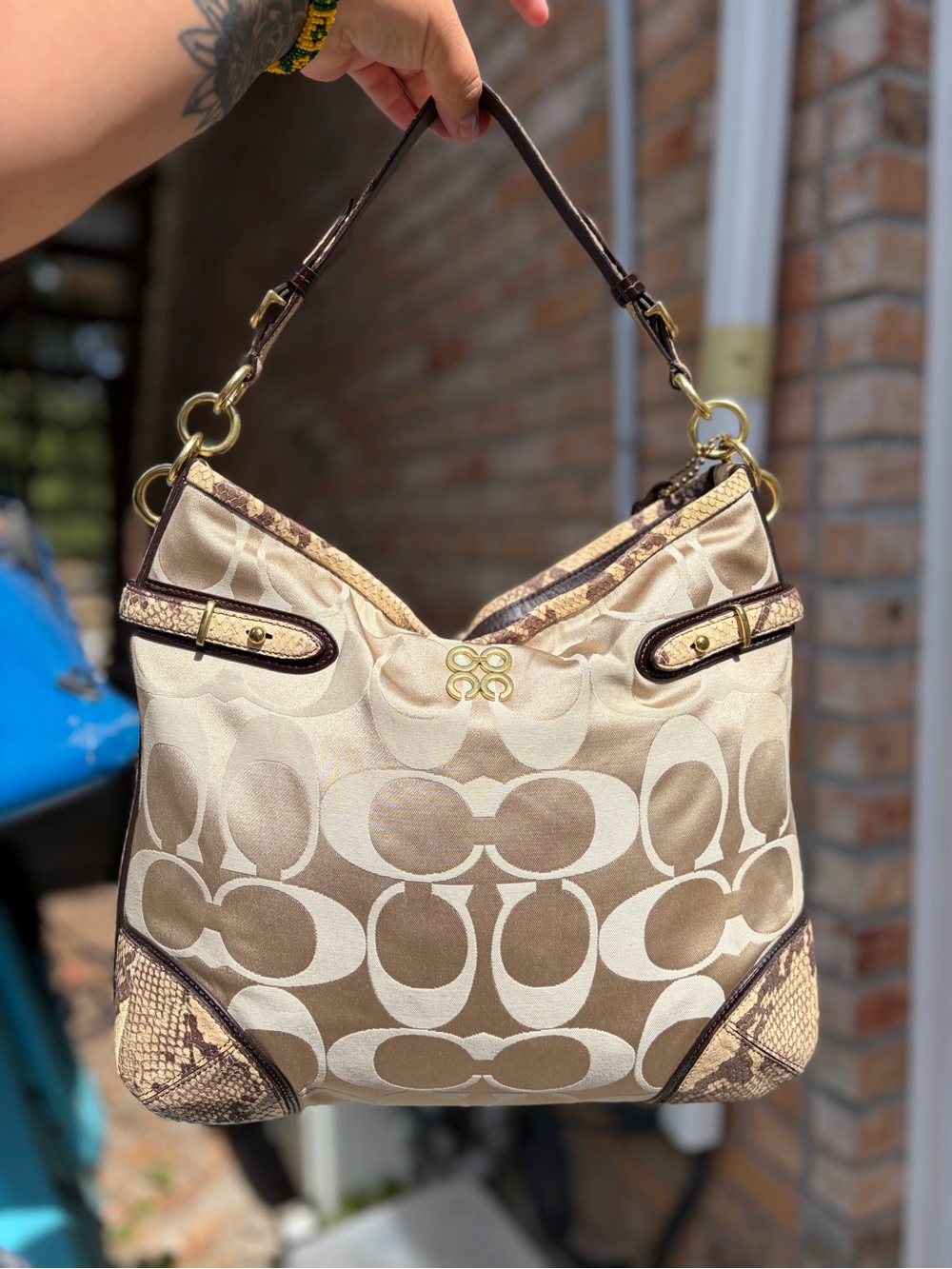 Coach Collette signature hobo bag with python trim